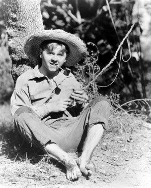 Adventures of Huckleberry Finn