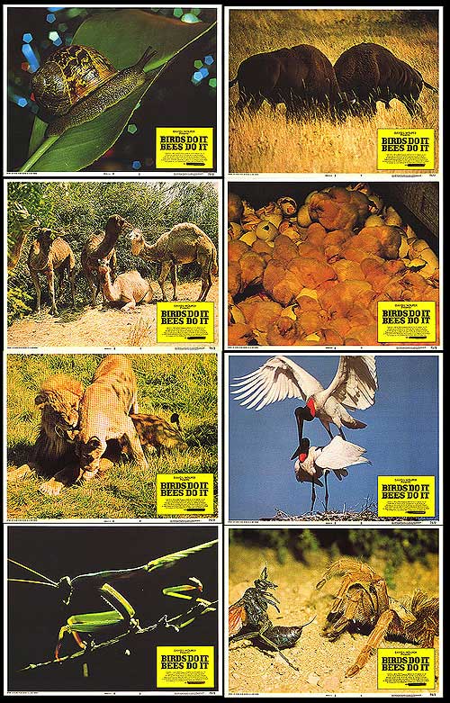 Birds Do It, Bees Do It