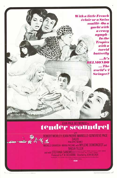 Tender Scoundrel
