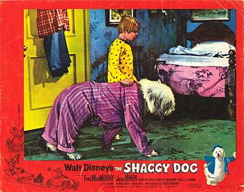 Shaggy Dog