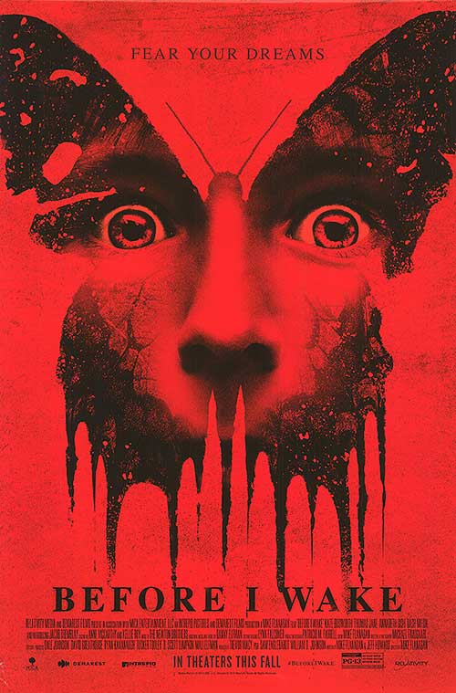 Before I Wake