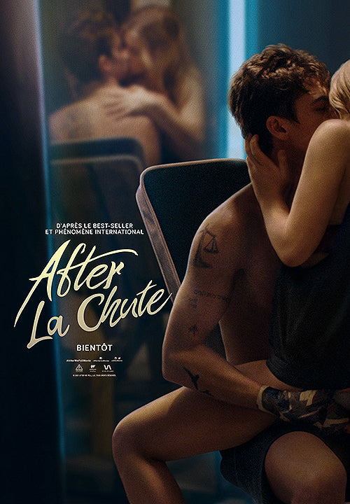 After We Fell (French)