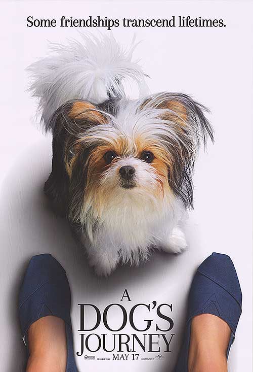 Dog's Journey