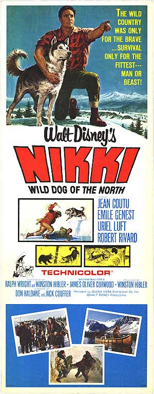 Nikki Wild Dog of the North