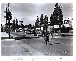 40 Pounds Of Trouble