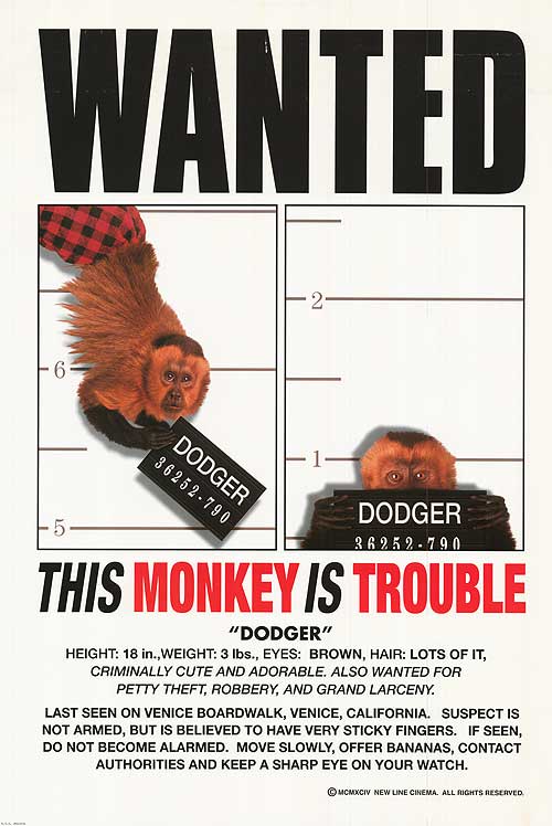 Monkey Trouble