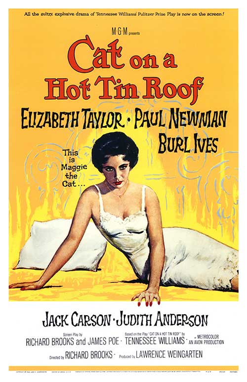 Cat On A Hot Tin Roof