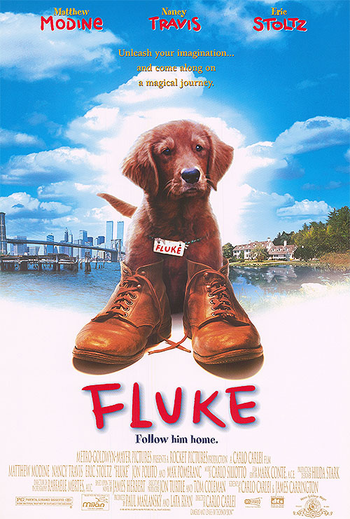 Fluke