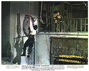Taming of the Shrew