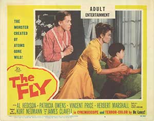 Fly