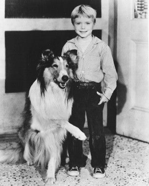 Lassie