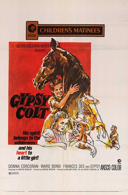 Gypsy Colt