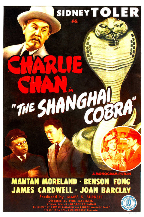 Shanghai Cobra