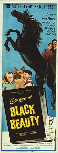 Courage of Black Beauty