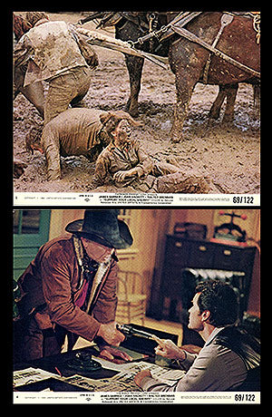 Support Your Local Sheriff