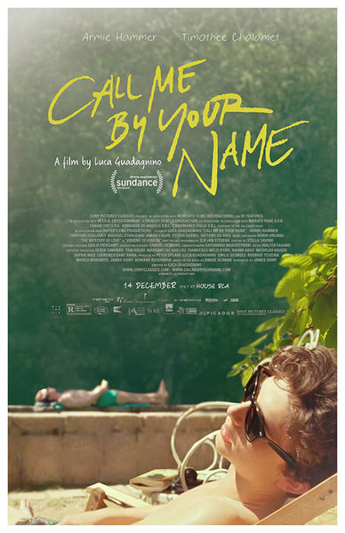 Armie Hammer Call Me By Your Name Full Online Movie Call Me By