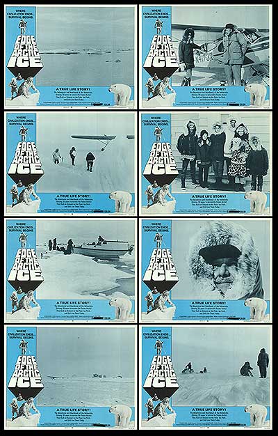 Edge of the Arctic Ice