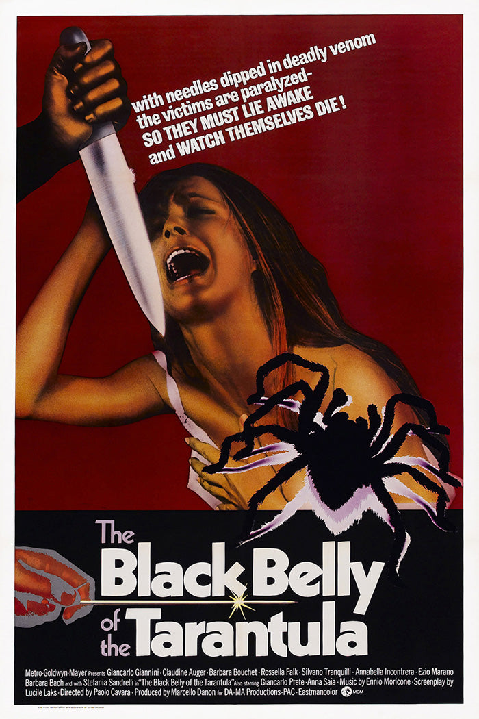 Black Belly Of The Tarantula