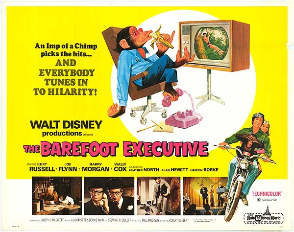 Barefoot Executive