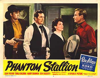 Phantom Stallion