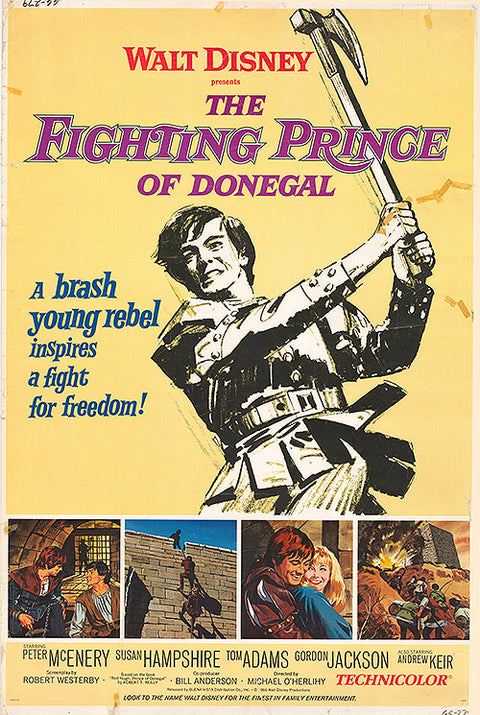 Fighting Prince Of Donegal